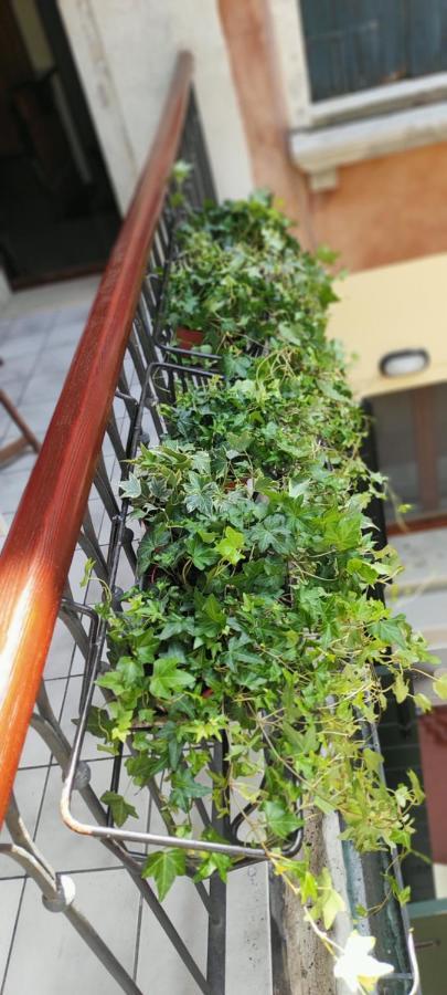 Ca' Baby Venezia Lägenhet Exteriör bild